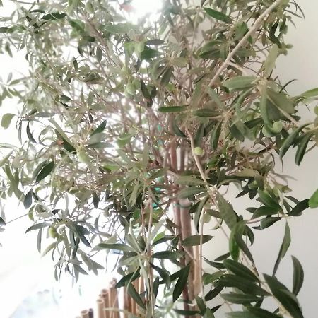 Athens City Center Cozy Apartment Luaran gambar